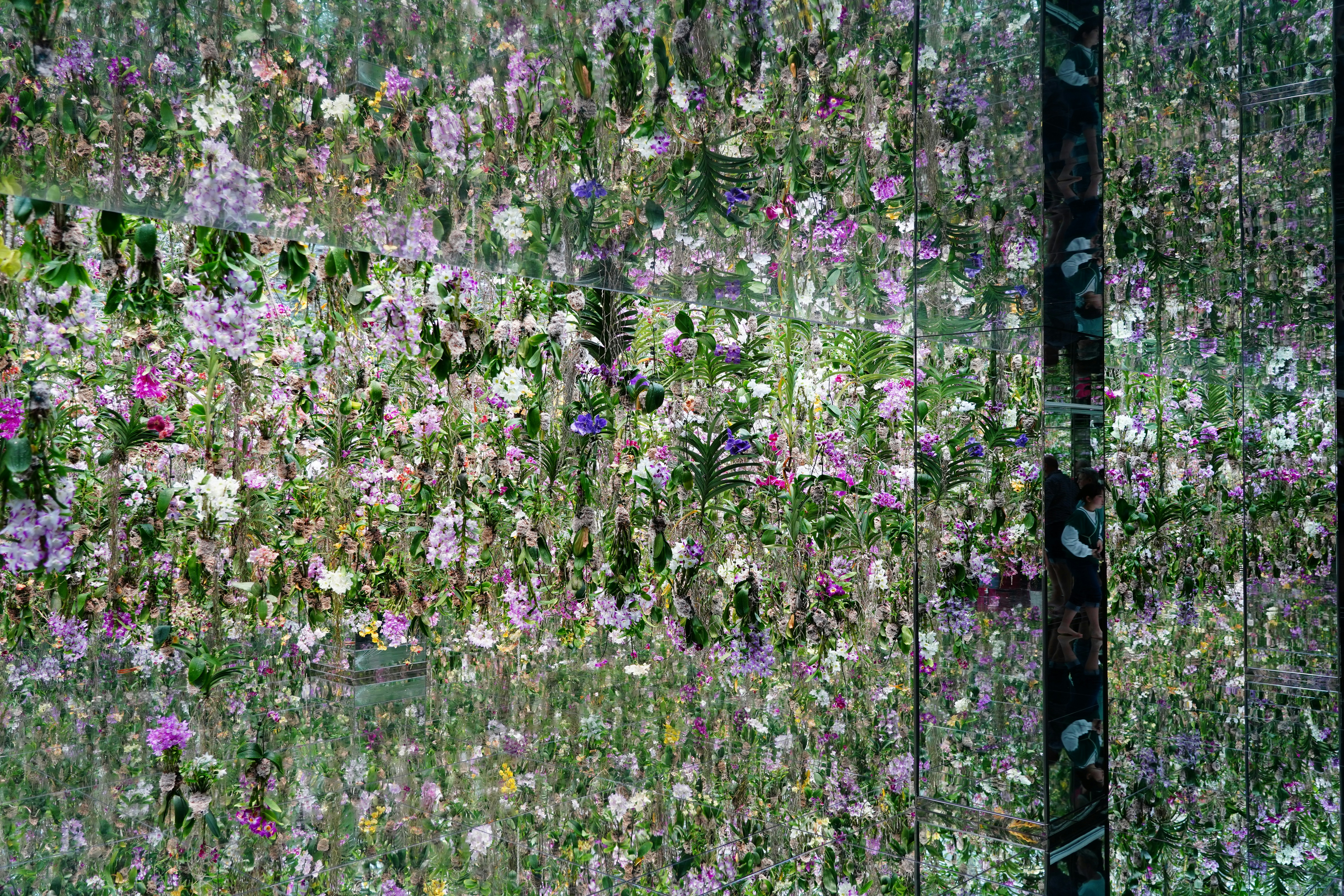 Бесконечное отражение цветов в teamLab Planets
